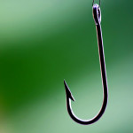 fish hook