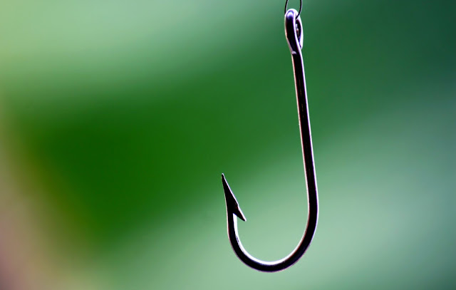 fish hook