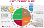 healthy eating plate